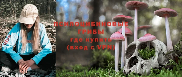 ГАЛЛЮЦИНОГЕННЫЕ ГРИБЫ Аркадак