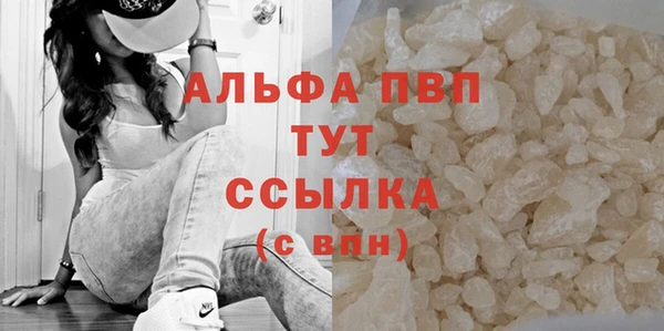 гашик Балахна